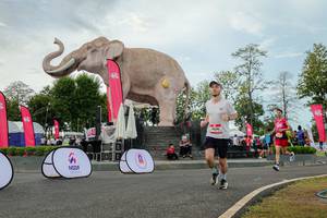 BIB: 
                            <button type="button" onclick="openModal(26528737)" class="btn btn-primary btn-sm float-right btn-popup" data-toggle="modal" data-target=".modal-high-quality">
                        <i class="fas fa-shopping-cart"></i> Add to Cart
                    </button>
                                            <button type="button" onclick="isThisMe(26528737, true)" class="btn btn-success btn-sm float-right btn-popup btn-isme hidden" data-toggle="tooltip" data-placement="bottom" title="นี่คือรูปของคุณใช่ไหม คลิกที่นี่เพื่อเอาเข้าอัลบั้ม">
                        <i class="fas fa-plus"></i> Add to album
                    </button>
                    <button type="button" onclick="isThisMe(26528737, false)" class="btn btn-warning btn-sm float-right btn-popup btn-isnotme hidden">
                        <i class="fas fa-ban"></i> Remove from album
                    </button>